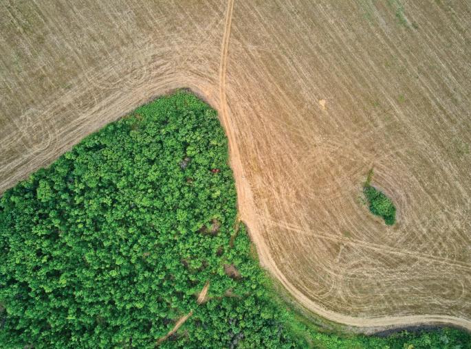 How our diets drive biodiversity loss