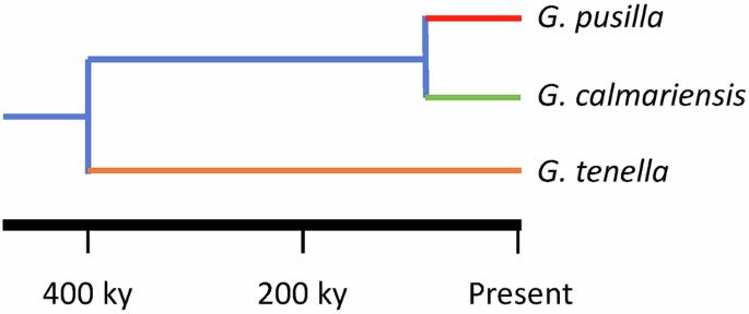 Lineage-specific targets of positive selection in three leaf beetles correspond with defence capacity against their shared parasitoid wasp