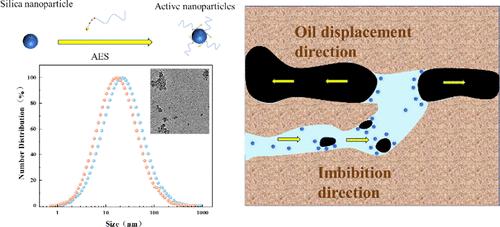 Active Nanofluids for Enhanced Shale Oil Recovery: Synergistic Imbibition and Multiscale Pore Access