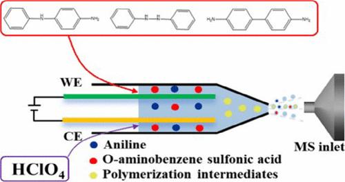 Mass Spectrometric Insight into the Sulfonated Polyaniline Polymerization Assisted by Aniline, Aniline Dimers and Perchloric Acid