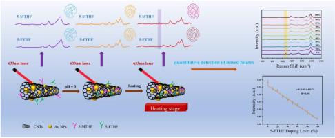 Thermostable CNTs@Au NPs nanocomposites for high-temperature assisted SERS molecular fingerprinting of two natural folates
