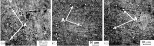Mechanical and Thermoelectric Properties of Solid Solutions of Bismuth and Antimony Chalcogenides Depending on the Purity of Initial Materials