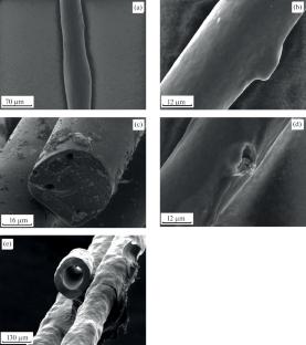 Carbon Fiber from Isotropic Petroleum Pitch Doped with Carbon Nanotubes