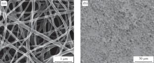 Loading and Releasing of Rhodamine B from a Composite Material Based on Nanofiber Polylactic Acid and Calcium Carbonate Microparticles Doped with Magnetite Nanoparticles
