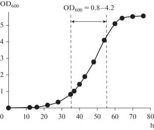 Optimization of Transformation Conditions by Electroporation for Mycobacterium abscessus