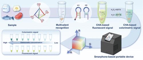 Smartphone-Based Fluorescence/Colorimetric Dual-Mode Aptasensor for the Detection of Salmonella Using Multivalent Aptamer and CHA Amplification