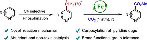 Iron-Catalyzed Carboxylation of Pyridylphosphonium Salts with CO2