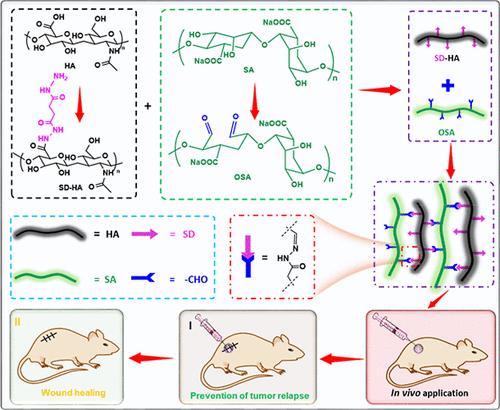 Doxorubicin-Loaded Injectable Hydrogel to Prevent Postoperative Recurrence of Colorectal Cancer and Accelerate Wound Healing