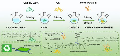 Bio-Based Monoepoxy-Terminated Polysiloxane-Modified Coating for Hydrophobic and Oil-Resistant Paper