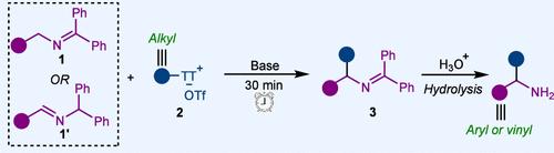 Umpolung Approach for the α-Alkylation of Benzylic Amines Enabled by Superelectron Donors