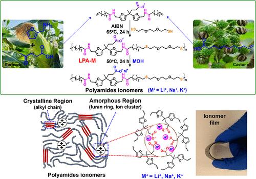 Synthesis of Bisfuran-Based Long-Chain Biopolyamide Ionomers through Postpolymerization Modification