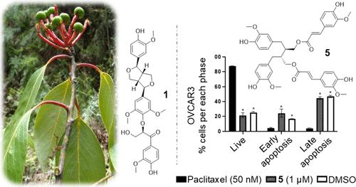 Cytotoxic Lignan and Flavonoid Derivatives from the Branches of Beilschmiedia yunnanensis