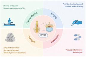Application and prospects of polysaccharide-based hydrogels in the treatment of intervertebral disc degeneration