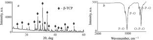 Formation of Octacalcium Phosphate Coating on the Surface of β-Tricalcium Phosphate Ceramics