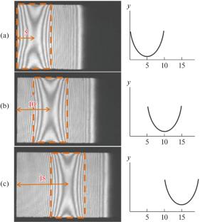 Interference Techniques for Measuring the Surface Profile of Extended Samples