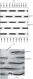 Layered-Fiber Composite with a Niobium-Based Matrix Reinforced with Carbon Fibers