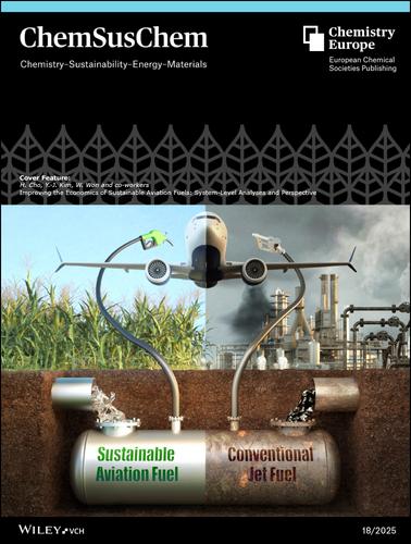 Cover Feature: Improving the Economics of Sustainable Aviation Fuels: System-Level Analyses and Perspective (ChemSusChem 18/2025)