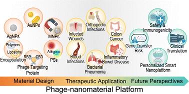 Phage–nanomaterial platforms for precision antimicrobial therapy: from design to therapeutic application