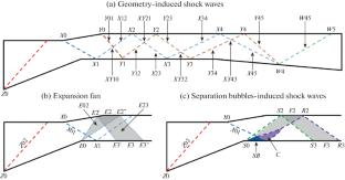 Separation Shapes Induced by Interactions of Cowl Dual Shock Waves with the Boundary Layer at Various Ramp Geometries of a Hypersonic Inlet