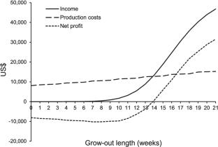 Stochastic bioeconomic approach for optimum design of aquaculture investment projects: case of stocking density, rotation time, and production scale for eastern oyster Crassostrea virginica farming in Yucatan, Mexico