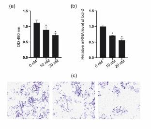 pH-Sensitive Paclitaxel Prodrug Incorporating Zanthoxylum bungeanum Extract for Targeted Non-Small Cell Lung Cancer Therapy