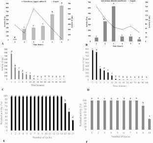 Hybrid Organic-Inorganic Nanoflowers as Efficient Supports for Lipase Immobilization