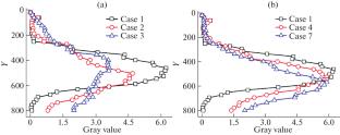 Modelling Methodology for the Full-Field Fuel Distribution in a Scramjet Combustor with Adjustable Strut/Cavity