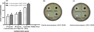 Green Synthesis of Magnesium Oxide Nanoparticles: Optimisation, Characterisation and Antibacterial Potential Against Listeria monocytogenes