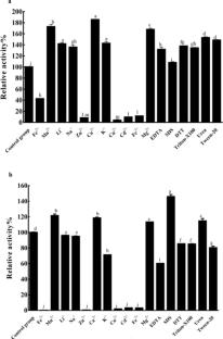Cloning, expression, purification, and mutant construction of the chitinase PbCHI2 gene from Photobacterium sp.