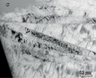 Microstructural Changes in Magnesium Alloy Mg‒Zn‒REE after Irradiation with Nanosecond Laser Pulses
