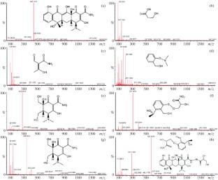 Organic Synthesis of CuO/g-C3N4 and Photocatalytic Degradation of Tetracycline