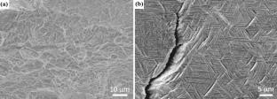 Study on deformation and fracture behavior of TC17 titanium alloy by finite element model based on mapping EBSD data