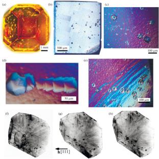 X-ray Topo-Tomography of Large HPHT Synthetic Diamonds
