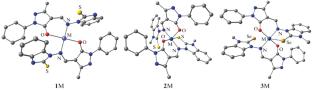 Local Atomic Structure of Co(II), Ni(II), and Cu(II) Metal Chelates Based on 1-Phenyl-3-methyl-4-formyl-5-pyrazolone and 1-Aminobenzimidazole Derivatives