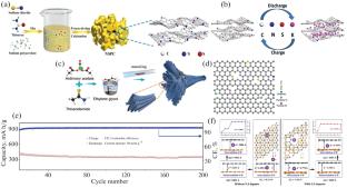 Polymer-Derived N/S-Doped Carbons for Electrochemical Systems: A Mini-Review