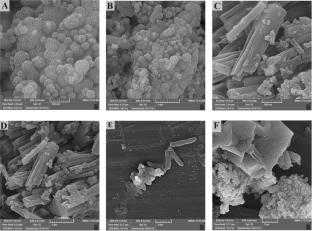 A novel fluorescent aptasensor using magnetic silica nanospheres and Ag@MOF nanocomposites for extraction and detection of Salmonella Typhimurium in eggs