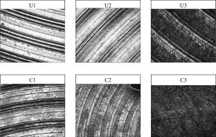 Surface integrity-dependent nanoparticle coating efficiency: exploring sonochemically synthesized Zingiber officinale extract-based ZnO nanoparticles on Ti6Al4V