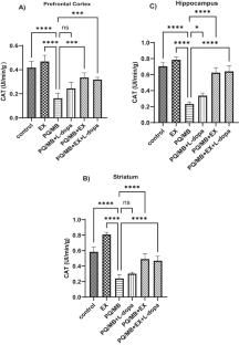 Therapeutic Effect of Physical Activity in a Male Wistar Rat Model of Paraquat and Maneb-Induced Parkinson’s Disease