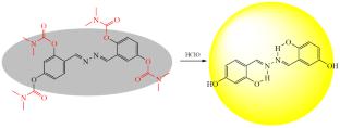 An Effective Dual-Wavelength Fluorescent Sensor for ClO− Detection