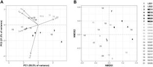 Using eDNA as a viable fish monitoring approach in Northern Gulf estuarine habitats