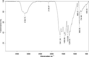Optical and electrical characterization of 2D semiconducting graphitic carbon nitride by terahertz time-domain spectroscopy