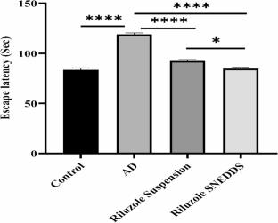 Optimized SNEDDS of Riluzole for Alzheimer’s Disease: Enhancing Solubility, Bioavailability, and Therapeutic Efficacy in Scopolamine-induced Rats Model
