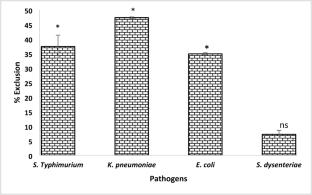Probing the adhesion potential of Bifidobacterium animalis subsp. lactis MCM-B-2007 via in vitro and in silico analyses