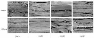 Kinetic Analysis and Simulation of NaCl Diffusion in Fish: The Effects of Ultrasonic Power