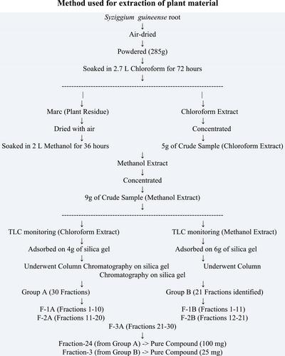 Phytochemical Investigation and Isolation of Chemical Constituents From the Root Extract of Syzygium guineense in South Ethiopia