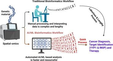 Advances in artificial intelligence for spatial transcriptomics in cancer: Special focus on Yin Yang 1 (YY1) and Raf kinase inhibitor protein (RKIP)