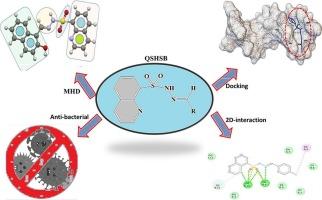 Molecular hybrid design, physicochemical, and thermal properties of new five quinoline sulfonyl hydrazide Schiff base derivatives: bioinformatics and antibacterial investigation