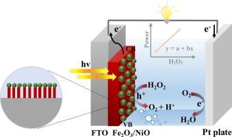 Construction of self-powered sensor based on Fe2O3/NiO photoanode for hydroperoxide detection and solar electricity production