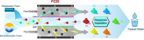 Recent advances in selective ion separation using flow-electrode capacitive deionization