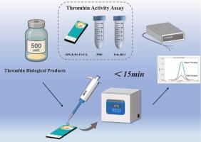 Facile electrochemical assay of thrombin activity in biological products